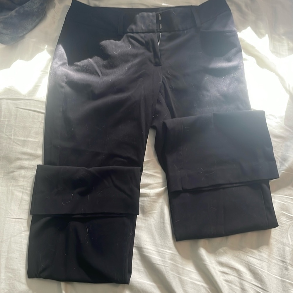 Dress pants